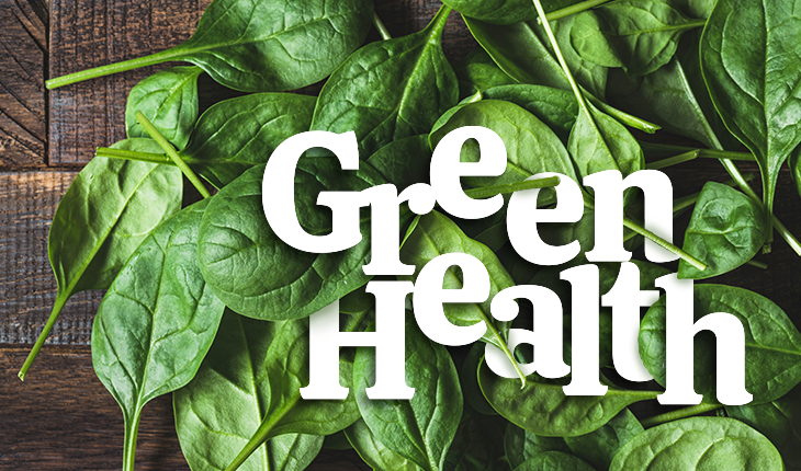 Sănătate verde – spanacul. Beneficii pentru organism și rețete