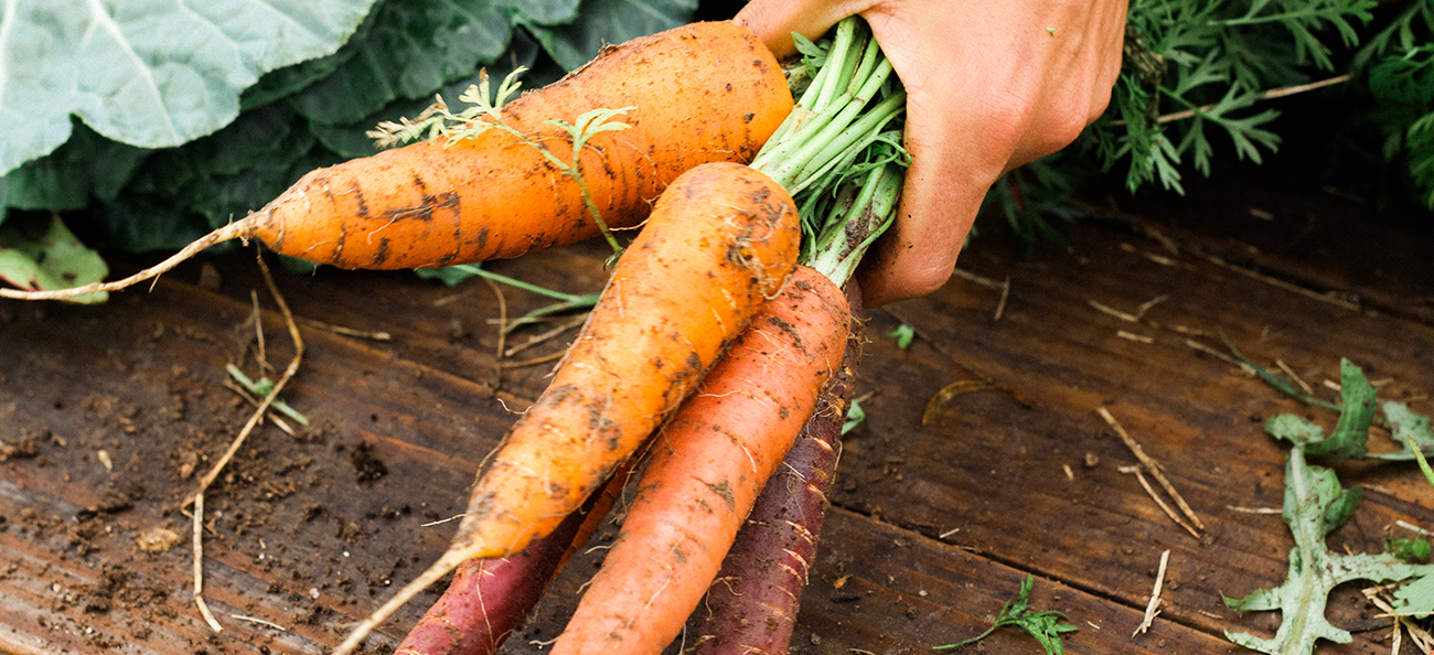 Iată de ce ar trebui să consumi morcovi mai des