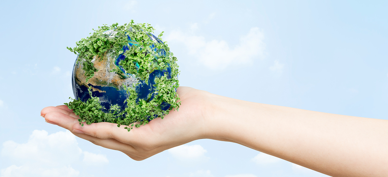 Ghid de ecologism – iată cum să reciclezi corect!
